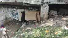 Diez kilómetros de la ribera del río Cali fueron intervenidos por la Unidad de Control de Invasiones y Protección de Ecosistemas 