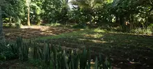Dìa agricultor
