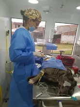 brigada en quintas del sol