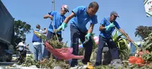 Jornada de limpieza 03