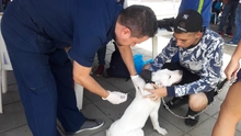 Jornada de registro para animales considerados potencialmente peligrosos en el Centro Comercial Río Cauca