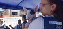 Jornada especial de Registro de Perros considerados potencialmente peligrosos, culminó con éxito. 