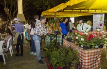 Con cultura y deporte, caleños y turistas redescubrieron San Antonio