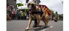 Desfile Militar 20 de Julio