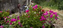 Limpieza ambiental en La Fortuna