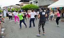 FesCom 14
