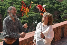 El corregimiento La Paz recibe ‘La fiesta de la abejita’