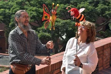El corregimiento La Paz recibe ‘La fiesta de la abejita’