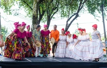 Viveelparque 15