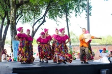 Viveelparque 16