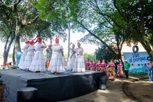 Viveelparque 21