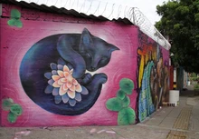 Graficalia, el primer festival de arte urbano en Cali