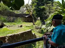 Adultos mayores de la Comuna 1 conocieron el Zoológico de Cali