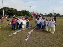 Festival cometas 04