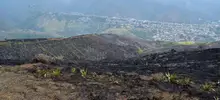 Incendio forestal Cristo Rey 02