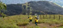 Incendio forestal Cristo Rey 05