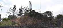 Incendio forestal Cristo Rey 06