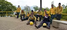 Incendio forestal Cristo Rey 07
