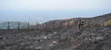 Alcaldía lanzó el Plan Ave Fénix para la recuperación de Cristo Rey