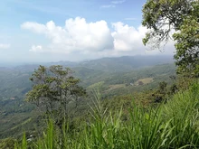 Unidad de Protección de Ecosistemas ha resguardado 3.000 hectáreas de gran importancia ecológica