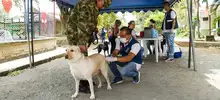 Miembros del Ejército y sus familias se beneficiaron con la jornada móvil de Casas de Justicia