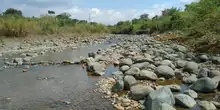 Dagma celebra decisión de la CVC