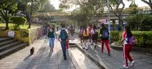 Con la estrategia Radar, Cali le responde de inmediato a la delincuencia
