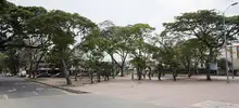 La comunidad ya se apropió del Corredor Verde