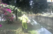 Por Mi Cali Bonita se enluce y recupera el aspecto de la zona del puente María Isabel Urrutia