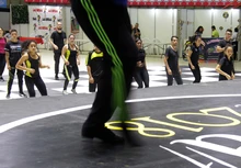 Todo en un solo sitio: desde el “Coliseo de la Salsa”, conozca las novedades que trae el Festival Mundial de Salsa.