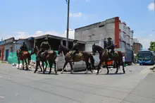 Ciudad Limpia retiró media tonelada de residuos del área de renovación urbana