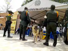 Así fue la mañana en la que nuestros adultos mayores se convirtieron en Carabineros