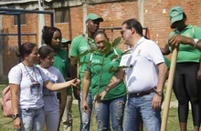 Un guayacán que despierta la vida en la comuna 14