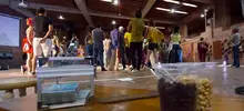 Festival Internacional de Teatro -Noche Límite