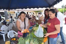 Mercado Campesino 8