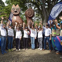 Acciones del gobierno de Armitage, 100En1Dia y la fundación Yo Amo Mi Cali 