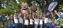 Acciones del gobierno de Armitage, 100En1Dia y la fundación Yo Amo Mi Cali 4