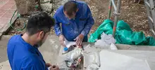 Restauración monumento Efraín y María