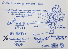 Novena fotografía de la noticia Finalizó el Taller de Herramientas Gráficas