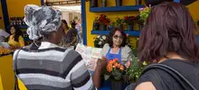 Mercaton agro 01