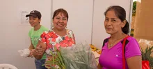 Mercaton agro 04