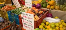 Mercaton agro 08
