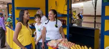 Mercaton agro 12