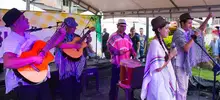 Festival de Música del Campo 8