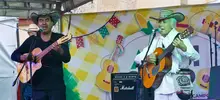 Festival de Música del Campo 11