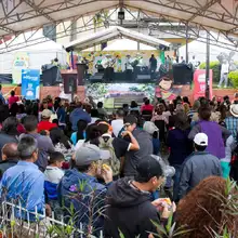 Festival de Música del Campo 12