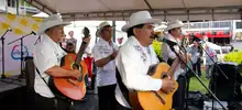Festival de Música del Campo 13