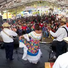 Festival de Música del Campo 14