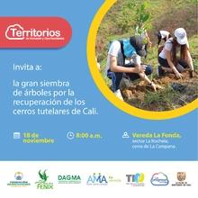Alcaldía de Cali continúa sembrando por la recuperación de los cerros tutelares de Cali