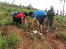  1.000 árboles más fueron sembrados en el cerro de Cristo Rey